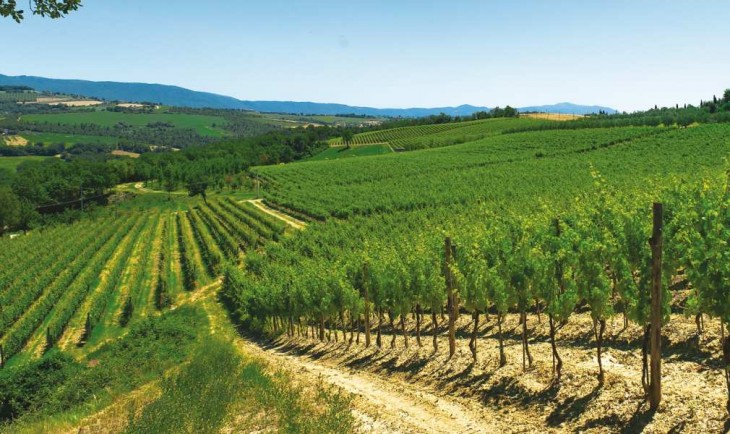 Italy Umbria Wine Region - WineDom.com | Wine Marketing Consultation ...